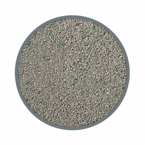 Tidy Cats 4-in-1 Strength Clumping Multi-Cat Litter Perspective: left