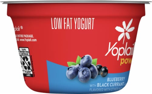 Yoplait® Power Blueberry with Black Currant and Chia Low Fat Yogurt Cup Perspective: left