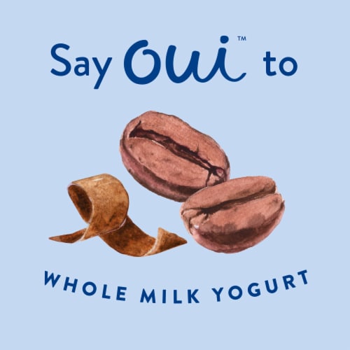 Oui by Yoplait Mocha and Chocolate Whole Milk French Style Yogurt Jar Perspective: left