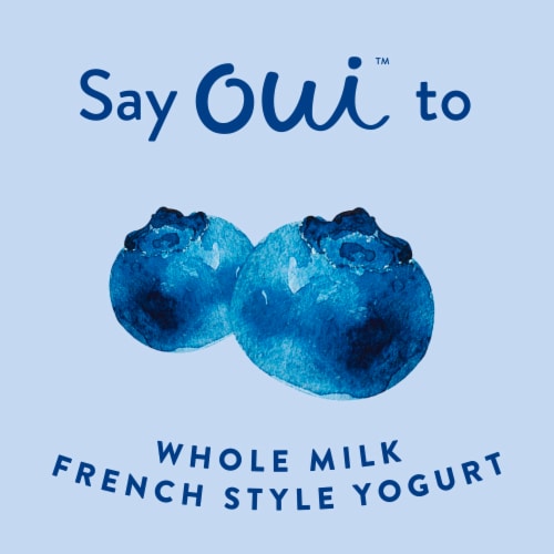Oui by Yoplait Gluten Free French Style Blueberry Whole Milk Yogurt Glass Jar Perspective: left