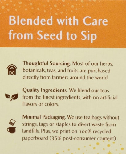 Celestial Seasonings® Gingerbread Spice® Holiday Herbal Tea Bags Perspective: left