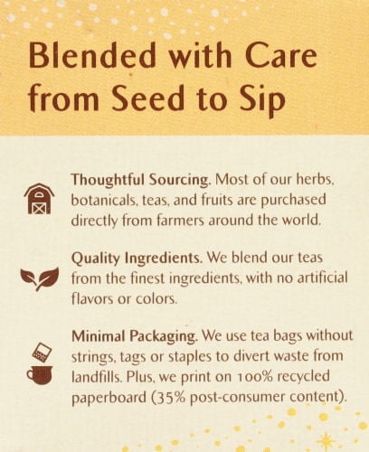 Celestial Seasonings® Caffeine Free Ginger + Probiotics Herbal Tea Bags Perspective: left