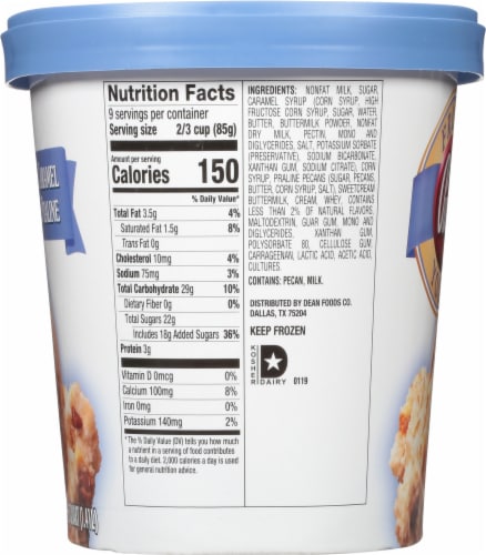 Purity™ Caramel Praline Frozen Yogurt Tub Perspective: left