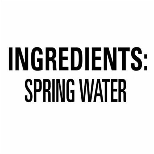 Saratoga® Still Spring Water Bottled Water Perspective: left