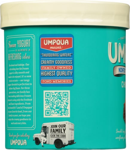 Umpqua Chocolate Nonfat Frozen Yogurt Perspective: left