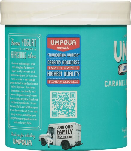 Umpqua Fat Free Caramel Macadamia Nut Frozen Yogurt Tub Perspective: left