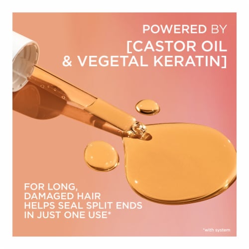 L'Oreal Paris Elvive Dream Lengths Shampoo Perspective: left