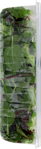 Fresh Express Spring Mix Perspective: left