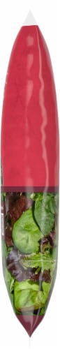 Dole Strawberry Poppyseed Premium Salad Kit Perspective: left