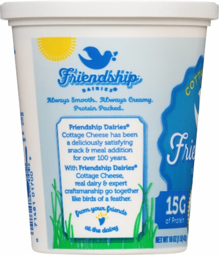 Friendship Dairies® Small Curd 4% Milkfat Cottage Cheese Perspective: left