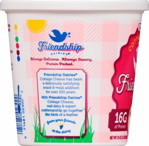 Friendship Daries® Cottage Cheese Small Curd Perspective: left