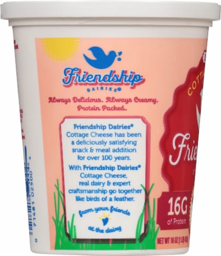Friendship Dairies® Low Fat Small Curd Cottage Cheese Perspective: left