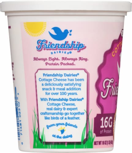 Friendship Dairies® Low Fat Whipped Cottage Cheese Perspective: left