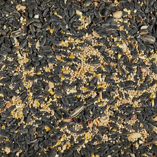 Kaytee Songbird Blend Wild Bird Food Perspective: left