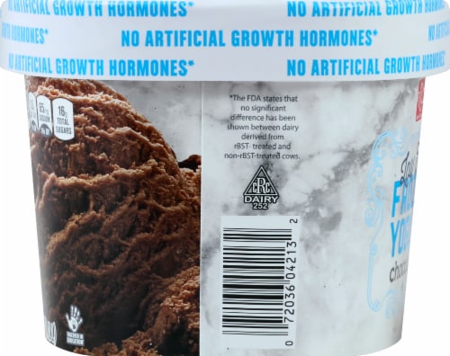 Harris Teeter™ Low Fat Chocolate Frozen Yogurt Perspective: left