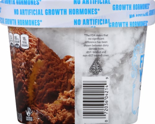 Harris Teeter™ Chocolate Caramel Brownie Frozen Yogurt Perspective: left