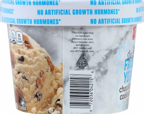 Harris Teeter™ Low Fat Chocolate Chip Cookie Dough Frozen Yogurt Perspective: left