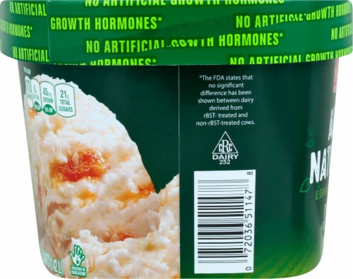 Harris Teeter All Natural Peach Ice Cream Perspective: left