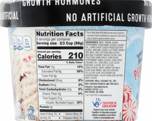 Harris Teeter™ Parlor Creations Peppermint Bark Ice Cream Perspective: left
