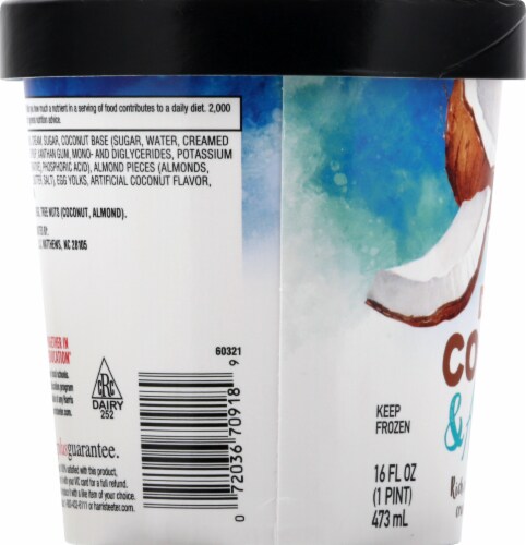 HT Traders™ Double Coconut & Almonds Ice Cream Perspective: left