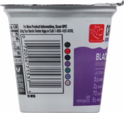 Harris Teeter™ Carbmaster® Blackberry Lactose Free Yogurt Perspective: left