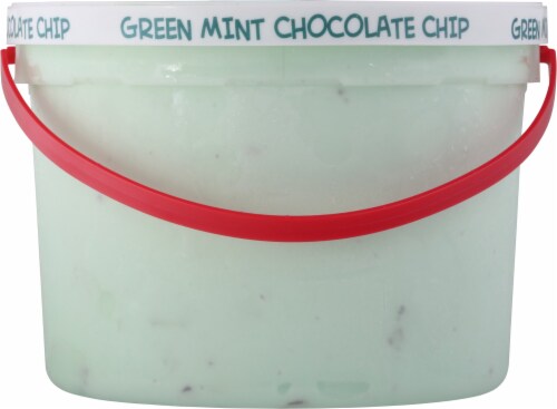 Harris Teeter™ Green Mint Cholocate Chip Ice Cream Perspective: left