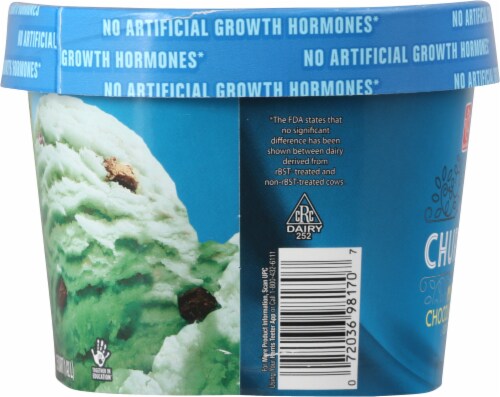 Harris Teeter™ Lower Fat Churned Mint Chocolate Chip Ice Cream Perspective: left
