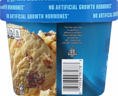 Harris Teeter™ Smooth & Creamy Butter Pecan Ice Cream Perspective: left