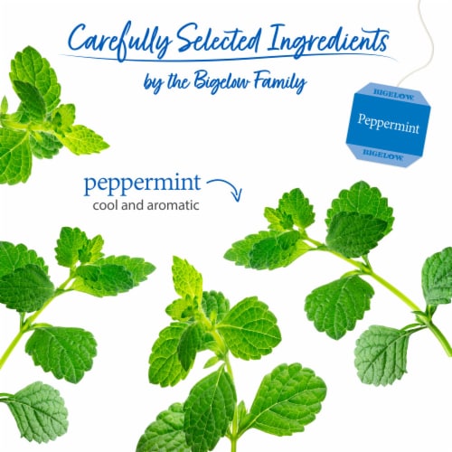 Bigelow® Peppermint Herbal Tea Bags Perspective: left