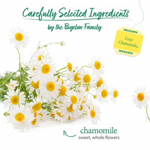 Bigelow® Cozy Chamomile® Caffeine Free Herbal Tea Bags Perspective: left