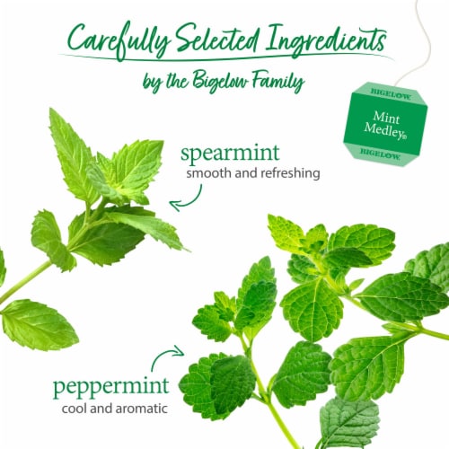 Bigelow® Mint Medley Herbal Tea Bags Perspective: left