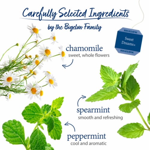 Bigelow Sweet Dreams Herbal Tea Perspective: left