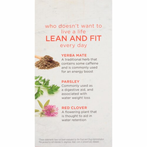 Bigelow Benefits Lean and Fit Citrus & Oolong Tea Bags Perspective: left