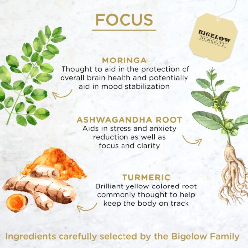 Bigelow Benefits Focus Moringa and Black Tea Bags Perspective: left