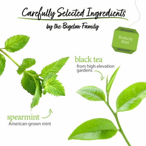 Bigelow® Perfectly Mint Tea Bags Perspective: left