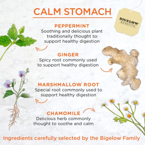 Bigelow Benefits® Calm Stomach Ginger & Peach Caffeine Free Herbal Tea Bags Perspective: left