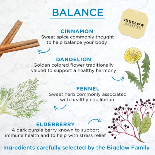 Bigelow® Benefits Cinnamon & Blackberry Herbal Tea Bags Perspective: left