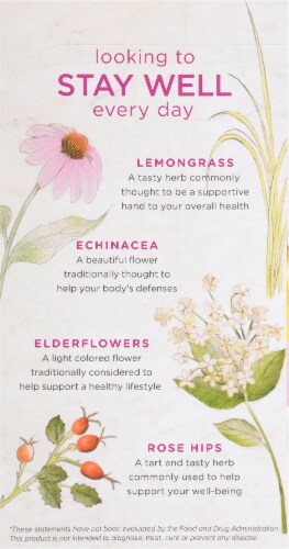 Bigelow Benefits Stay Well Lemon & Echinacea Herbal Tea Bags Perspective: left
