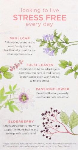 Bigelow Benefits Rose & Mint Herbal Tea Bags Perspective: left