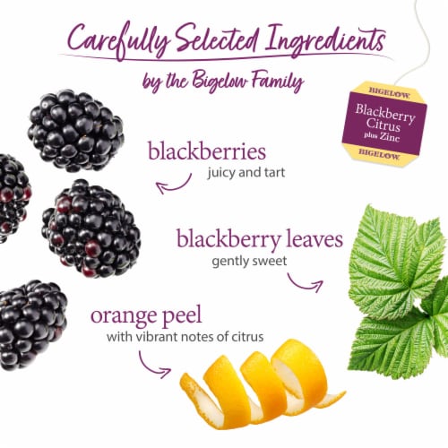 Bigelow® Blackberry Citrus Herbal Tea Caffeine Free Tea Bags plus Zinc Perspective: left
