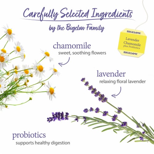 Bigelow® Lavender Chamomile plus Probiotics Caffeine Free Herbal Tea Bags Perspective: left