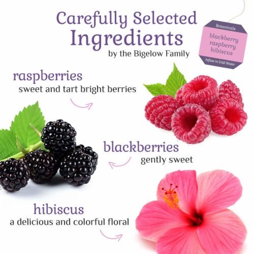 Bigelow Botanicals Cold Water Infusion Blackberry Raspberry Hibiscus Herbal Tea Bags Perspective: left