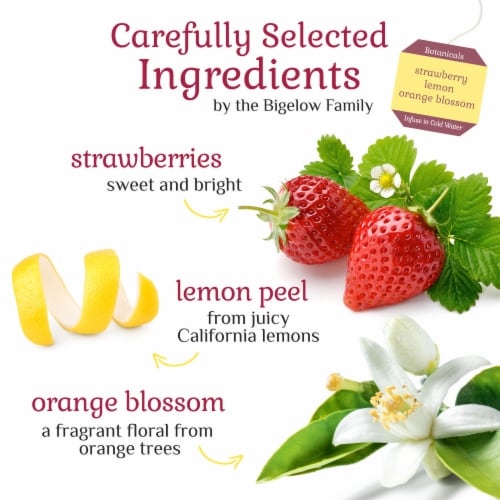 Bigelow Botanicals™ Cold Water Infusion Strawberry Lemon Orange Blossom Herbal Tea Bags Perspective: left