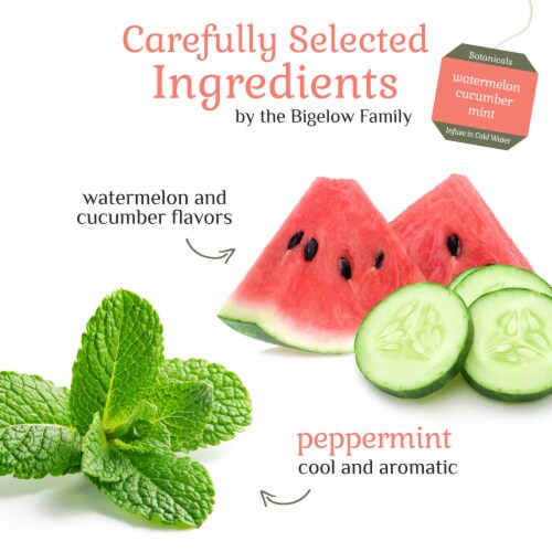 Bigelow Botanicals™ Cold Water Infusion Watermelon Cucumber Mint Herbal Tea Bags Perspective: left