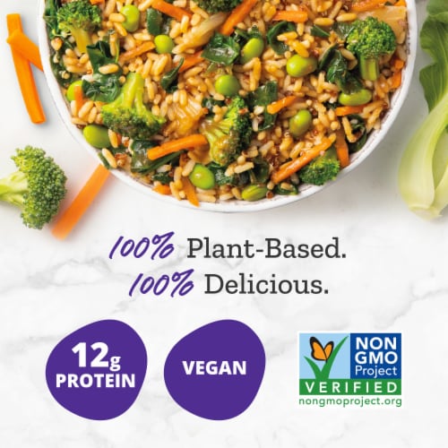Purple Carrot Plant-Based Loaded Vegetable Fried Rice Frozen Meal Perspective: left
