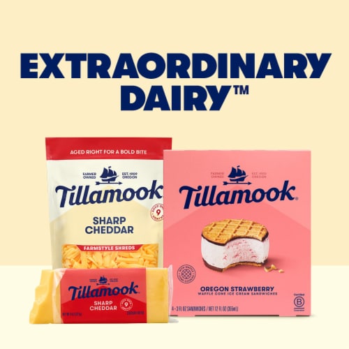 Tillamook Chocolate Mudslide Ice Cream Sandwiches Perspective: left
