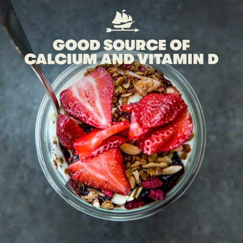 Tillamook Vanilla Bean Low-Fat Yogurt Perspective: left