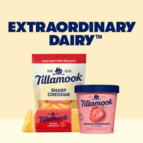 Tillamook Mint Chocolate Chip Ice Cream Perspective: left