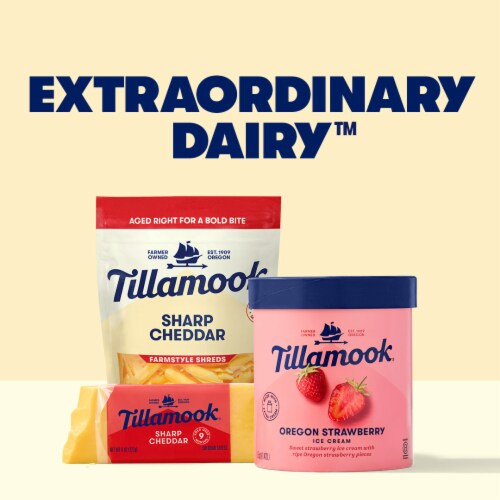 Tillamook Chocolate Chip Cookie Dough Ice Cream Tub Perspective: left