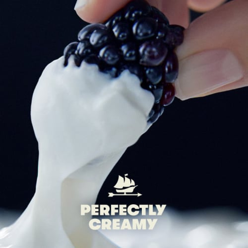 Tillamook Low Fat Oregon Marionberry Good & Creamy Yogurt Perspective: left